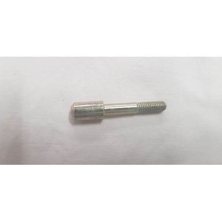 Rear Seat Pivot Bolt